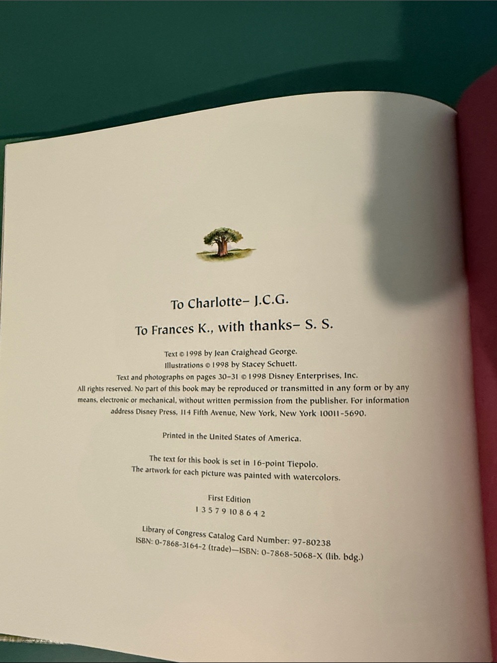 First Edition Rhino Romp Disney Book - Picture 2 of 5